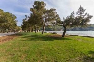 Priljubljena plaža v Strunjanu pričakuje kopalce v prenovljeni podobi 7